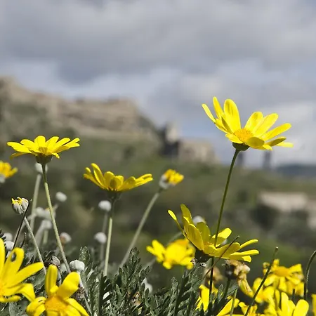 斯斯雷洛公寓 * 贾迪尼-纳克索斯