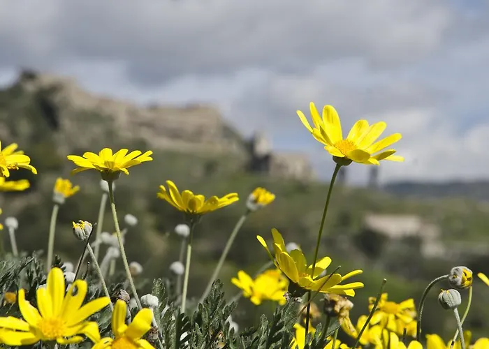 Casa Cicirello * Giardini-Naxos